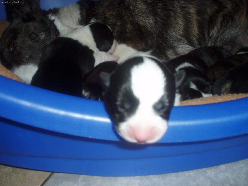 Foto: Kdy už uvidím na ten svět?