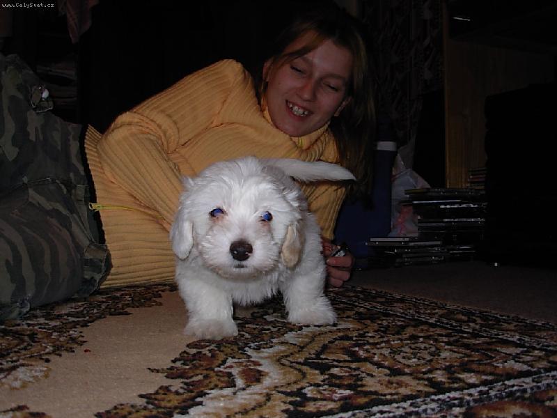 Foto: Danísek-Ahoj ja jsem Danísek