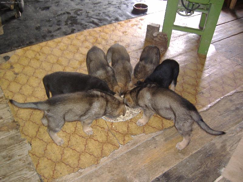 Foto: naše miminka-snad zbude na každého