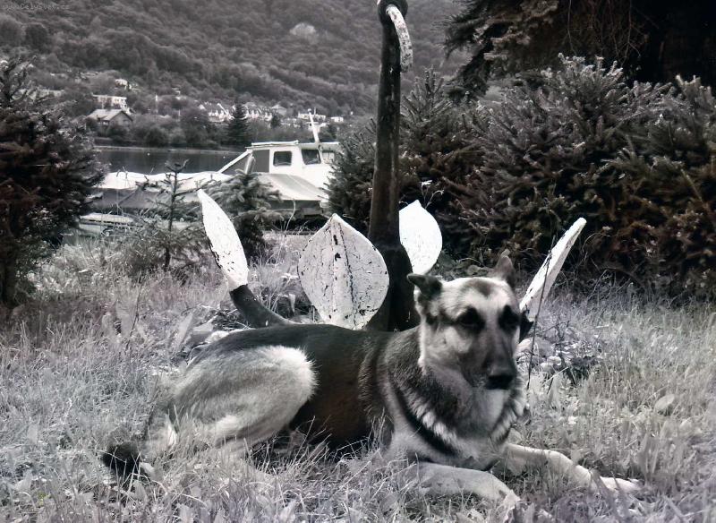 Foto: Hlídačka polabí