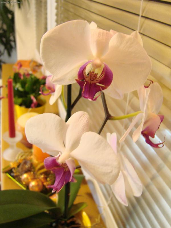 Foto: Martíkovo dílo