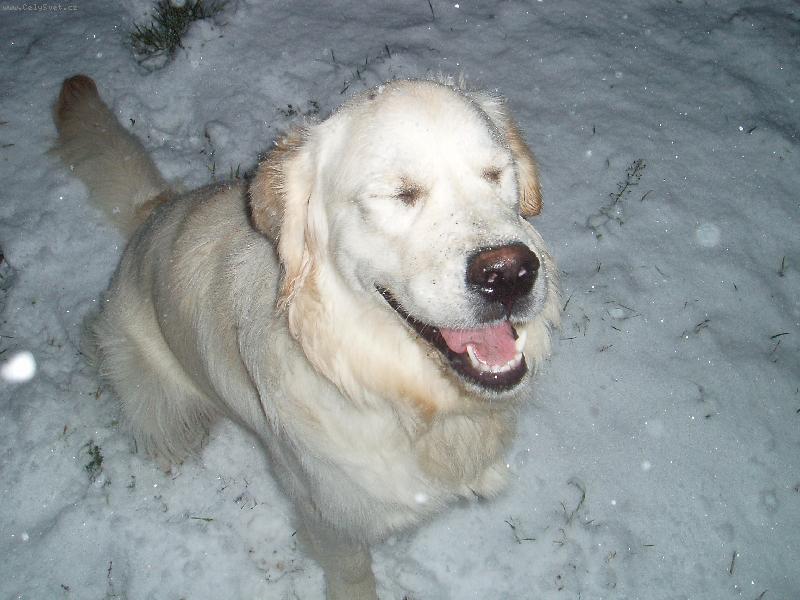 Foto: To studí a já se fotit nechci.. :)