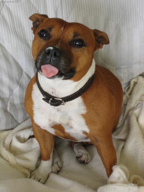 Foto: naše drahá Julinka