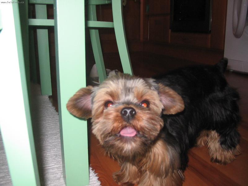 Foto: Filípek-pusinky