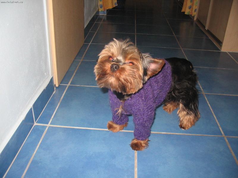 Foto: kuk-to jsem fešák