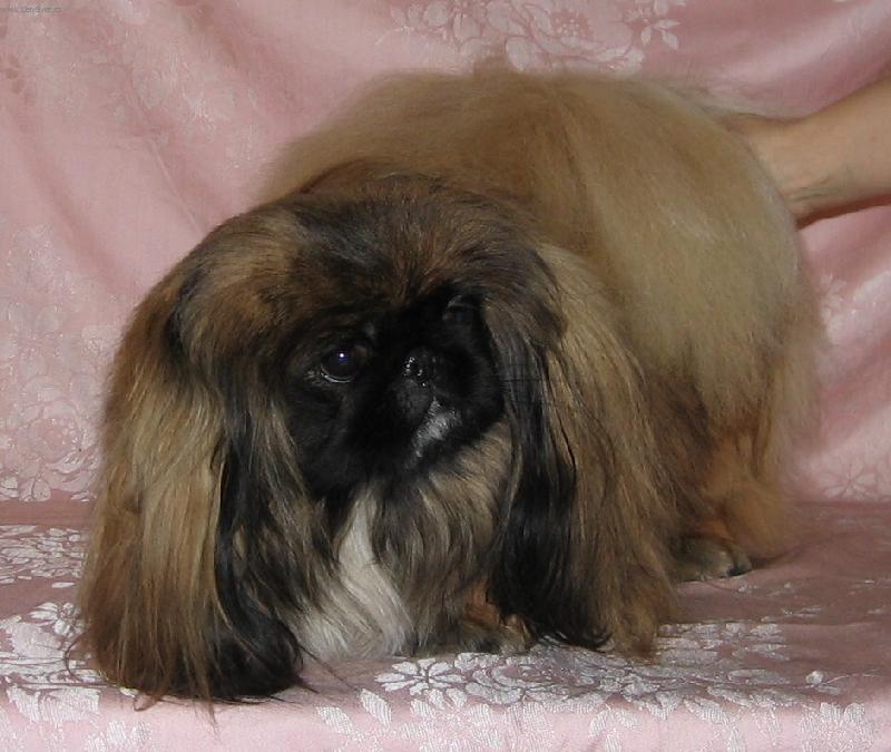 Foto: ULLY od Macháčků-Už mě to focení nebaví!