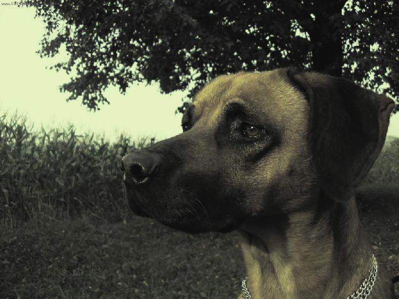 Foto: Staré časy...