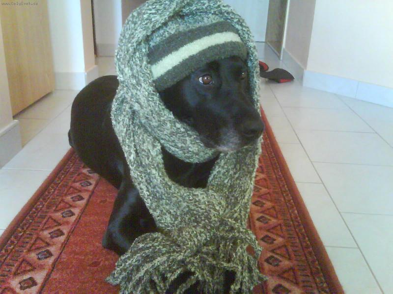 Foto: Naše parádnice Sany.