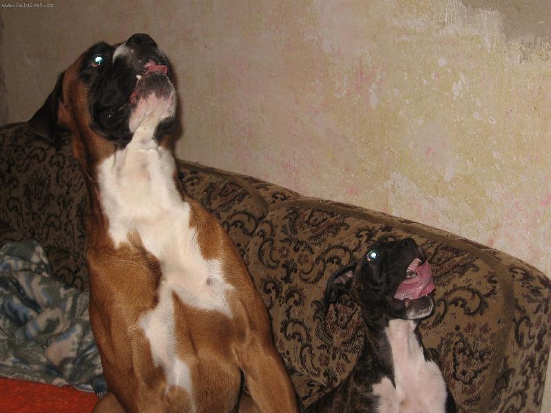 Foto: dostaneme něco dobrého?