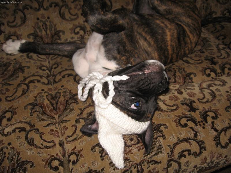 Foto: Já mám čepičku