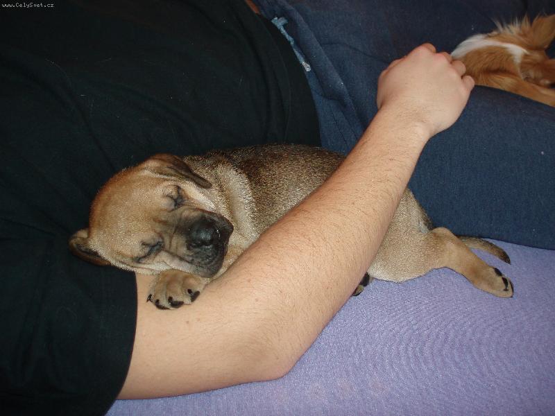 Foto: odpolední siesta