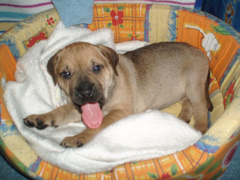 Foto: moje postýlka