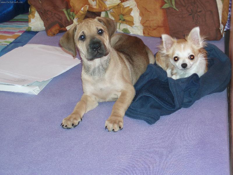 Foto: tady je to naše!