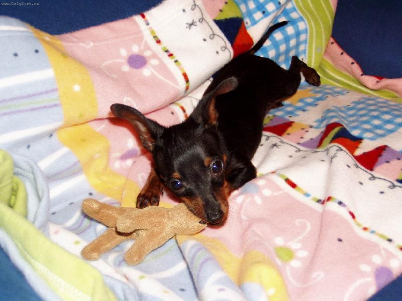 Foto: nejkrásnější věk