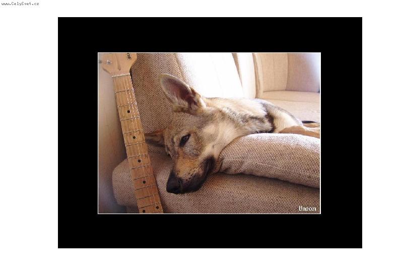 Foto: Baron z Hvozdecké kotliny-i love rock