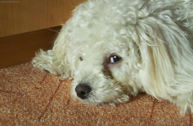 Foto: Zdravím vás!!!