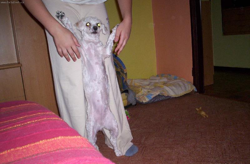 Foto: E.T. volá domů!!!!!!!!!!!