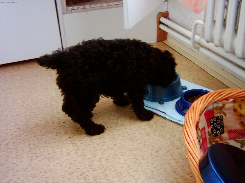 Foto: mnam to je basta-tak takhle si dáva do nosu naš matýsek