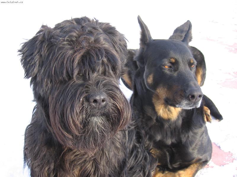 Foto: skoro jako svatební foto