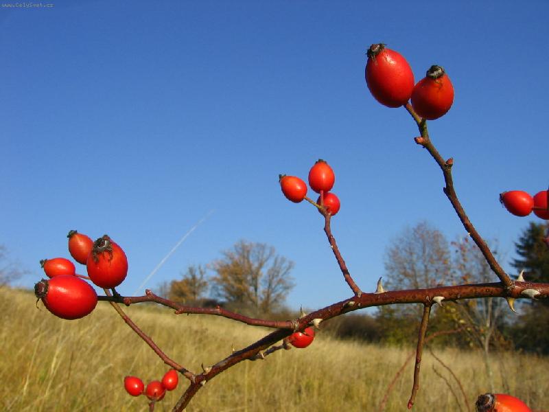 Foto: no není to nádhera?