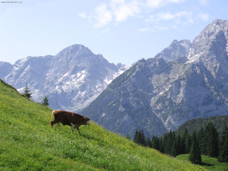 Foto: Milka kam se podíváš