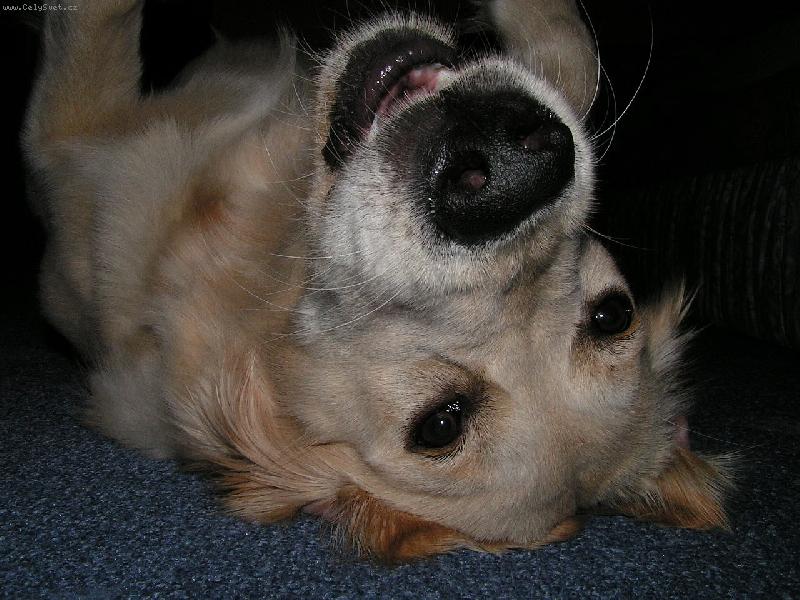 Foto: Svět vzhůru nohama