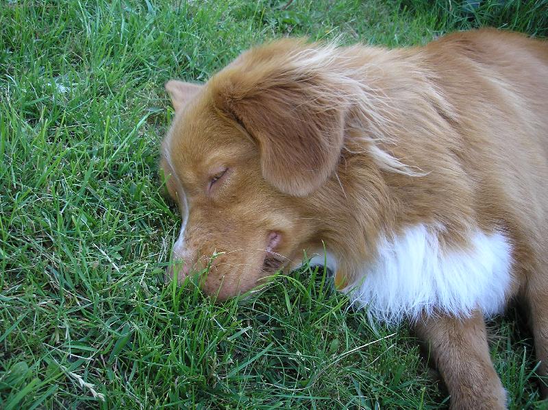 Foto: Já tady nejsem