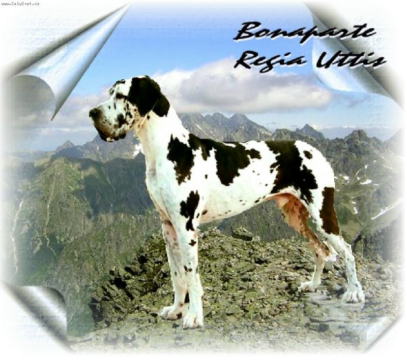 Foto: Bódíček-Pan PES