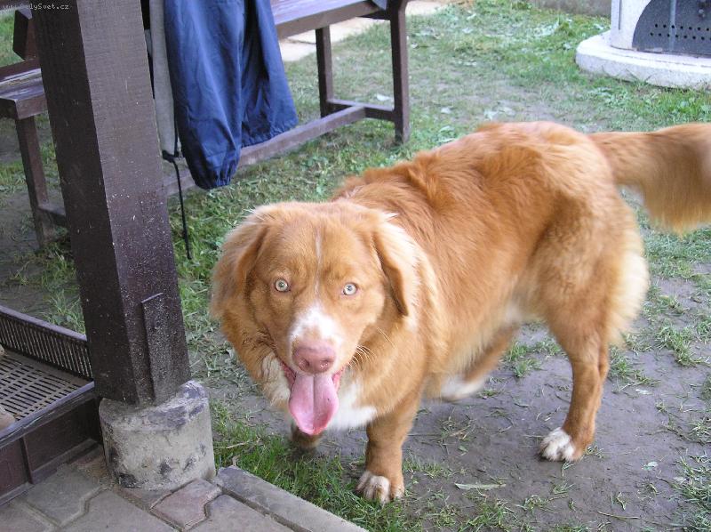 Foto: No to teda čumím!-Co to ten člověk drží v ruce?