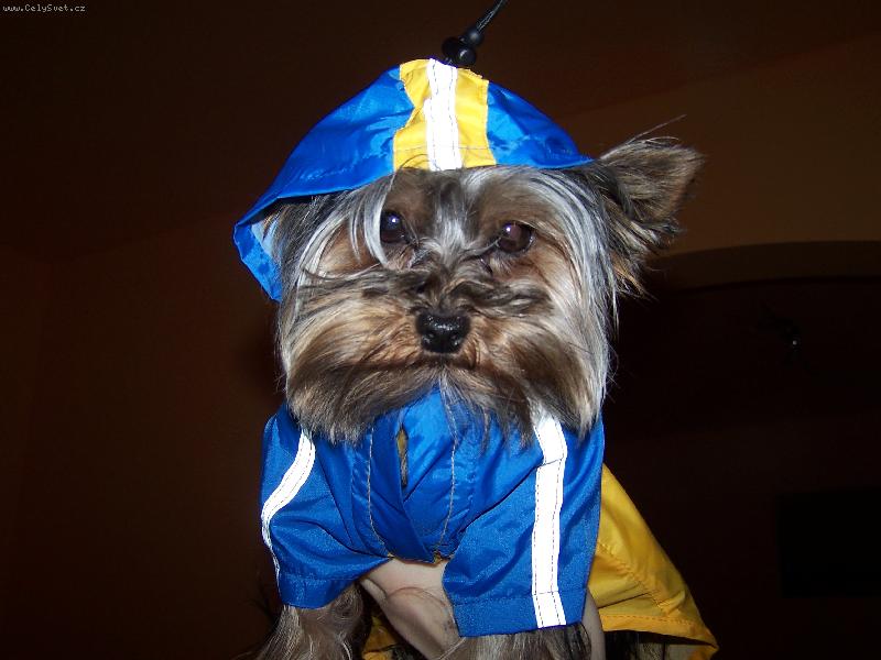 Foto: Sárinka-Sárinka