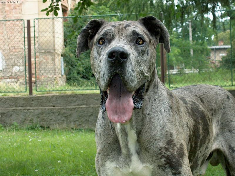 Foto: Nuflík-2 roky