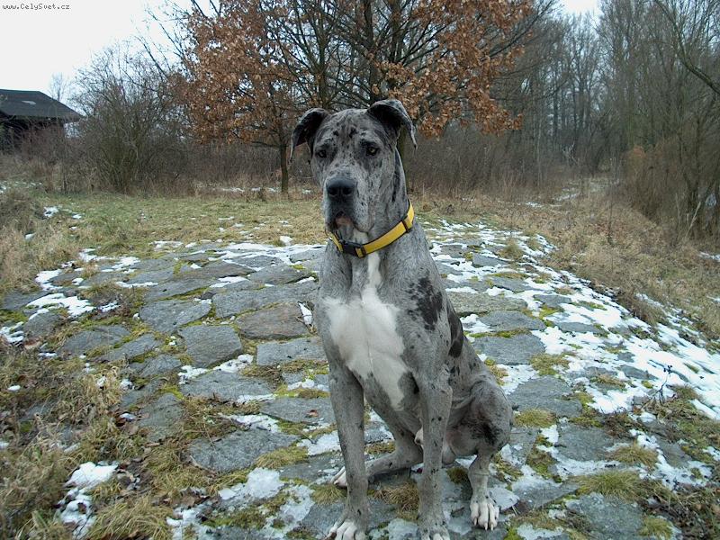 Foto: Nuflík-v 8 měsících