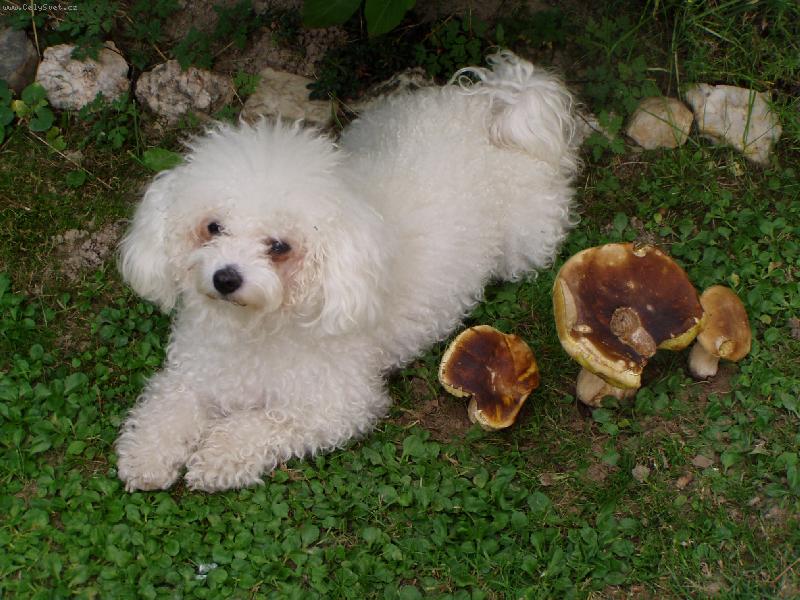 Foto: Tohle jsem našla