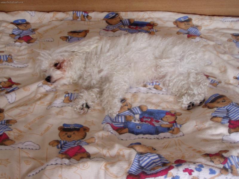 Foto: spinkám na lůžku