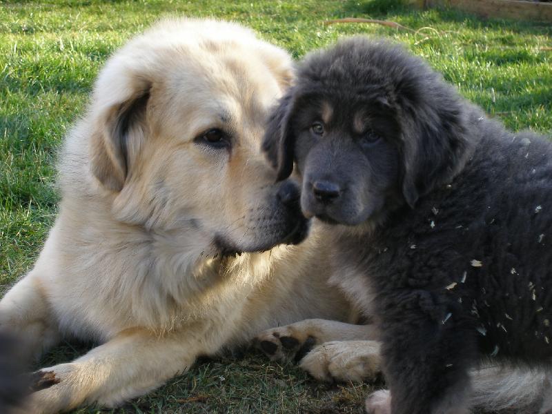 Foto: Apoušek a Celine-To mám krásnou dceru že??