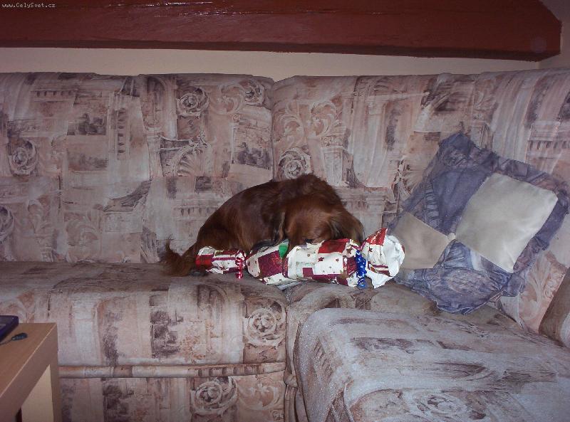 Foto: Maxik-jůů můj dáreček