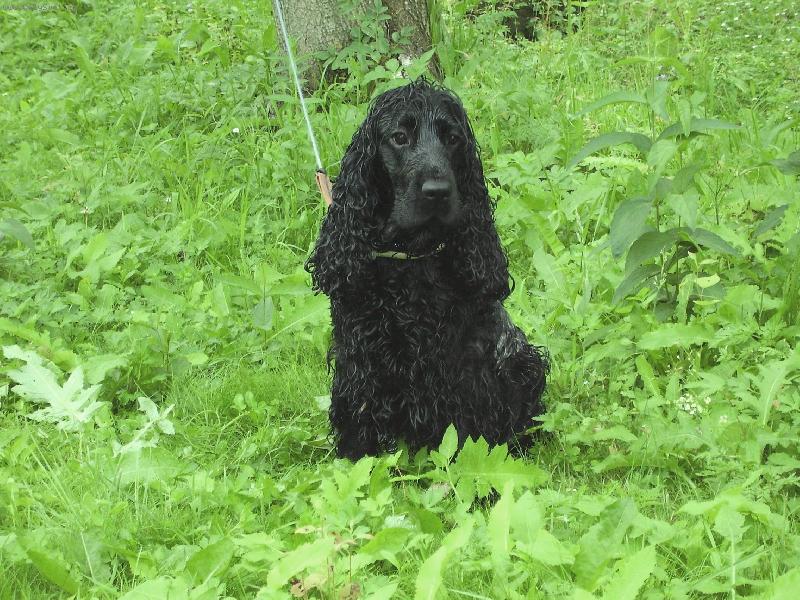 Foto: Já chci ještě do vody!!