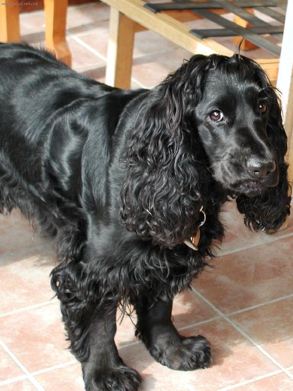 Foto: Necháš toho!!-Peggy se nechce fotit