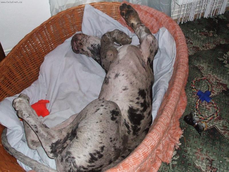 Foto: Historie se opakuje, aneb 2 měsíce poté...