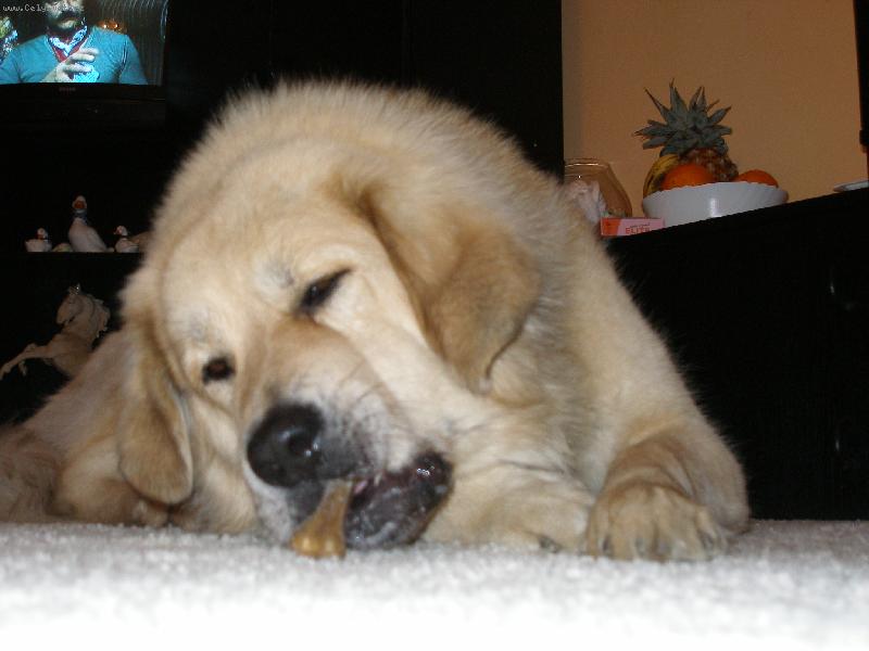 Foto: Mňam:)-Apoušek