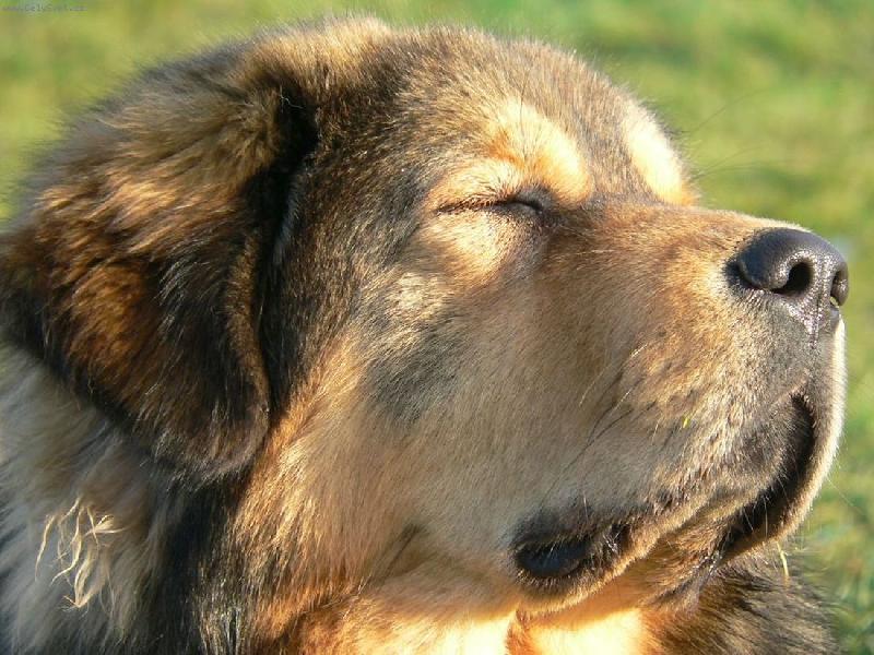 Foto: chytám bronz :o)