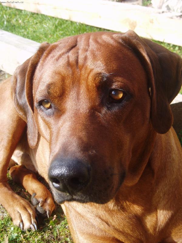 Foto: ¨¨kuk¨¨-venku