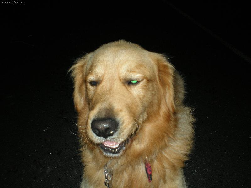 Foto: Max-tak honem fotce dokud se směju:-))