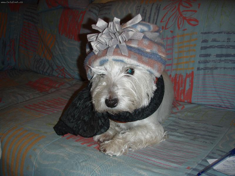 Foto: zima bude tuhá...