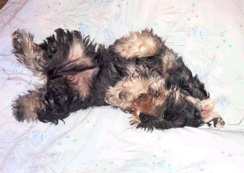 Foto: Naše malá Flavie-Prosím nerušit