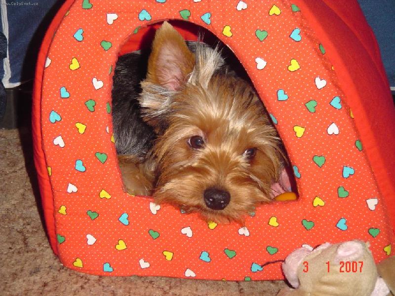 Foto: Monty-Nech mě spát