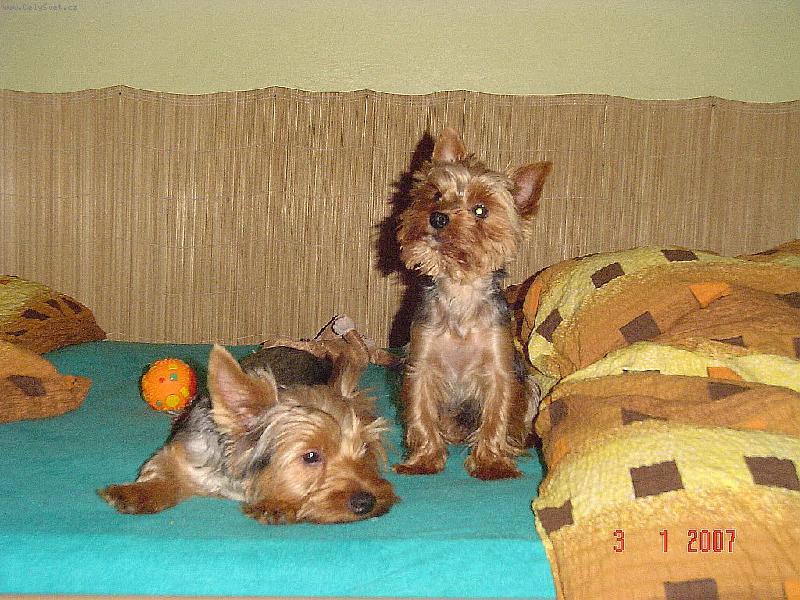 Foto: Albert a Monty-Dívej se mi do očí .......