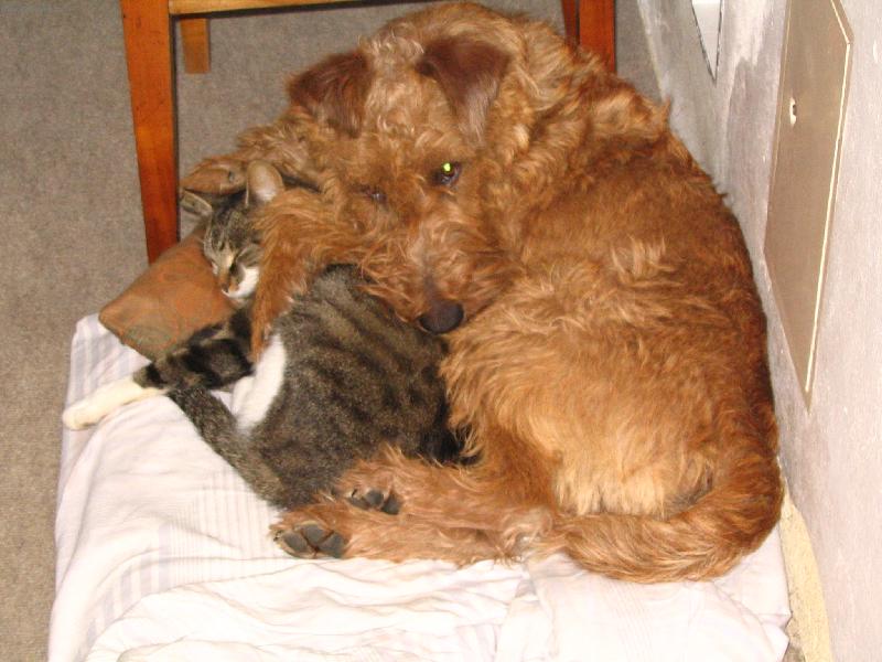 Foto: Badin-přátelé na celí život