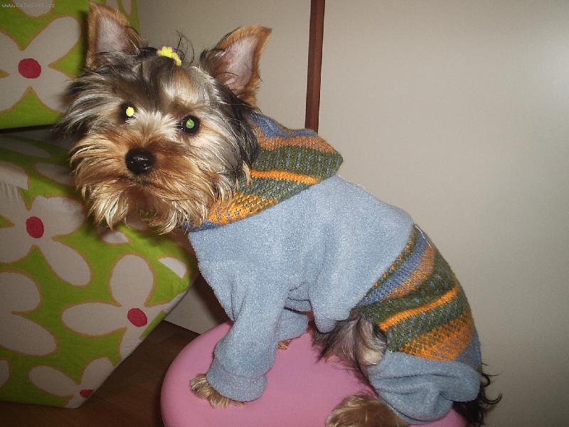 Foto: Danny-Modní přehlídka