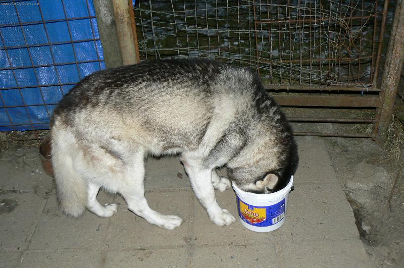 Foto: Je tam ještě něco?